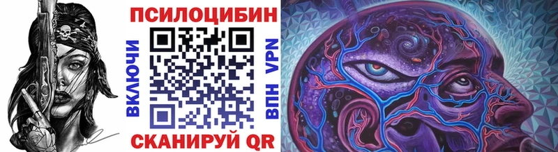 Псилоцибиновые грибы Psilocybine cubensis  Петровск-Забайкальский 